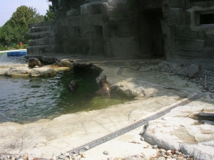 Шонбрунн зоопарк